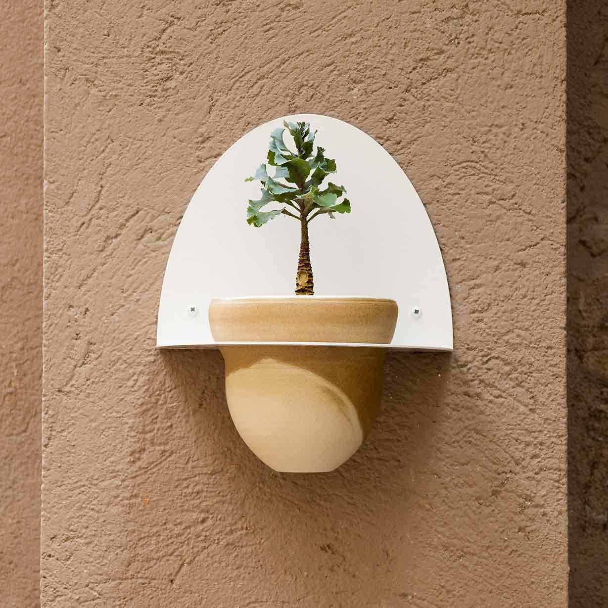 Pack Test Cielo + Suport de Test Andalucía