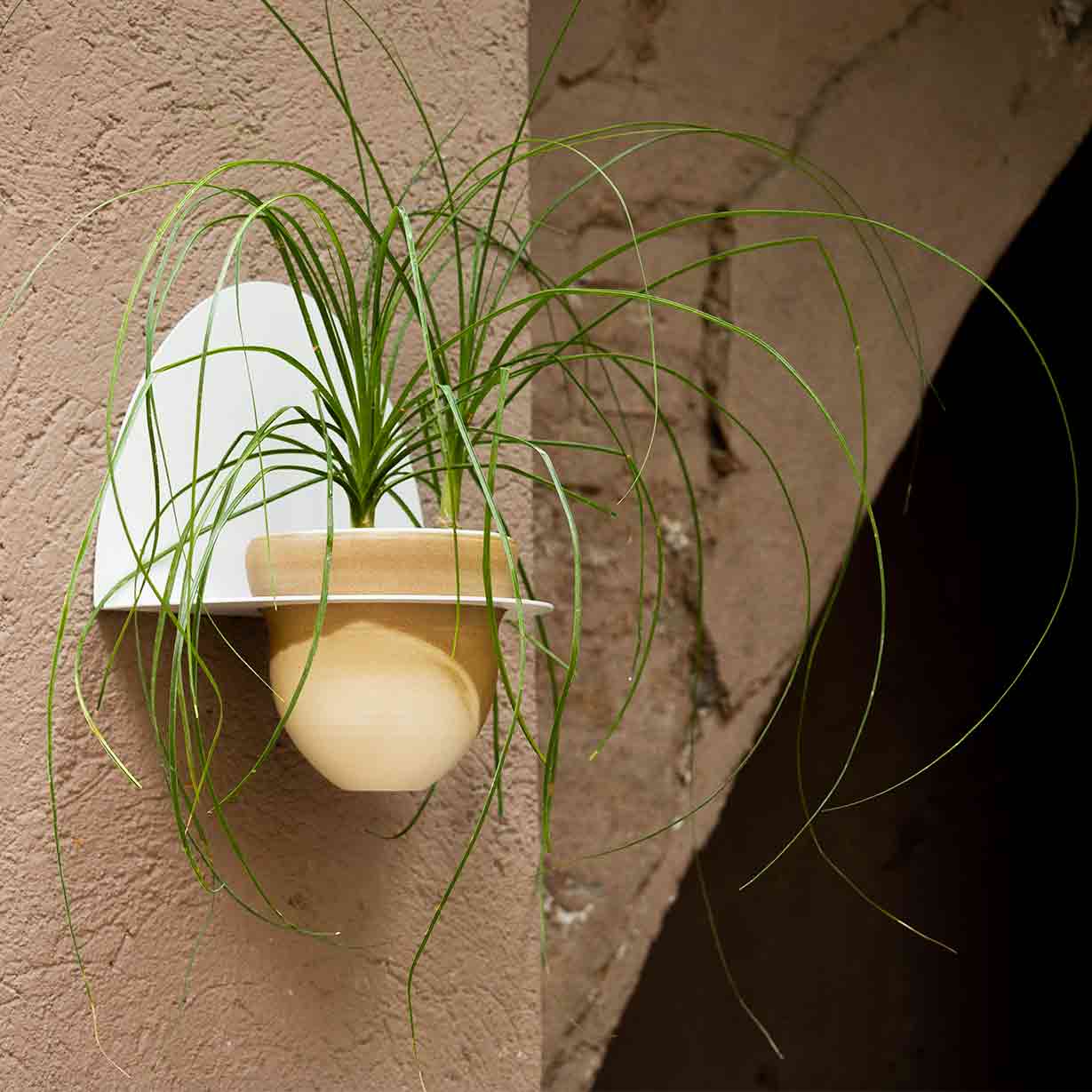 Pack Test Cielo + Suport de Test Andalucía