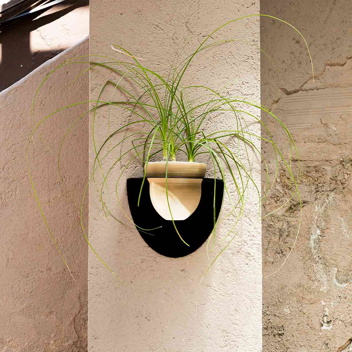 Pack Test Cielo + Suport de Test Andalucía