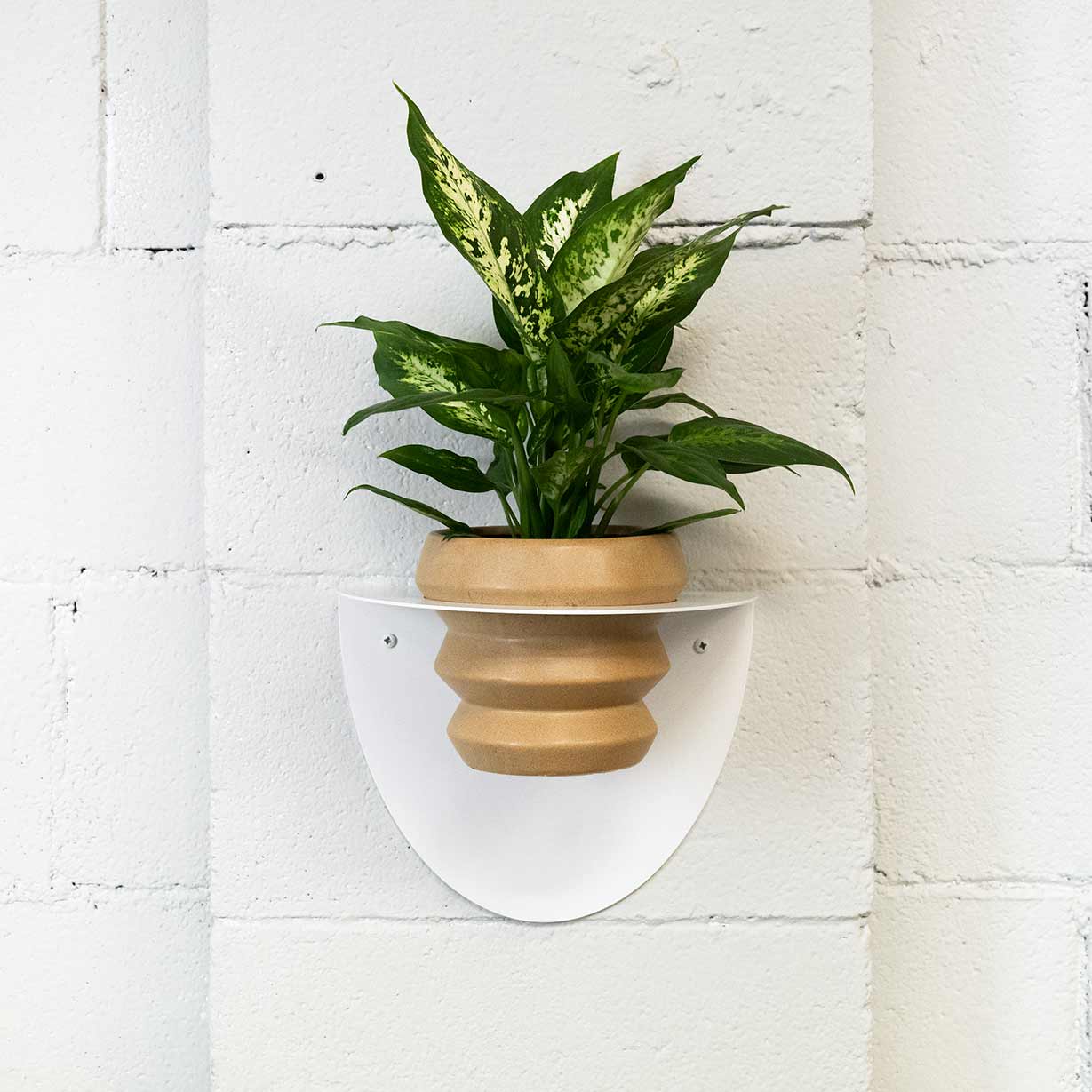 Suport de testos Metàl·lic Per a Paret Andalusia Ø14