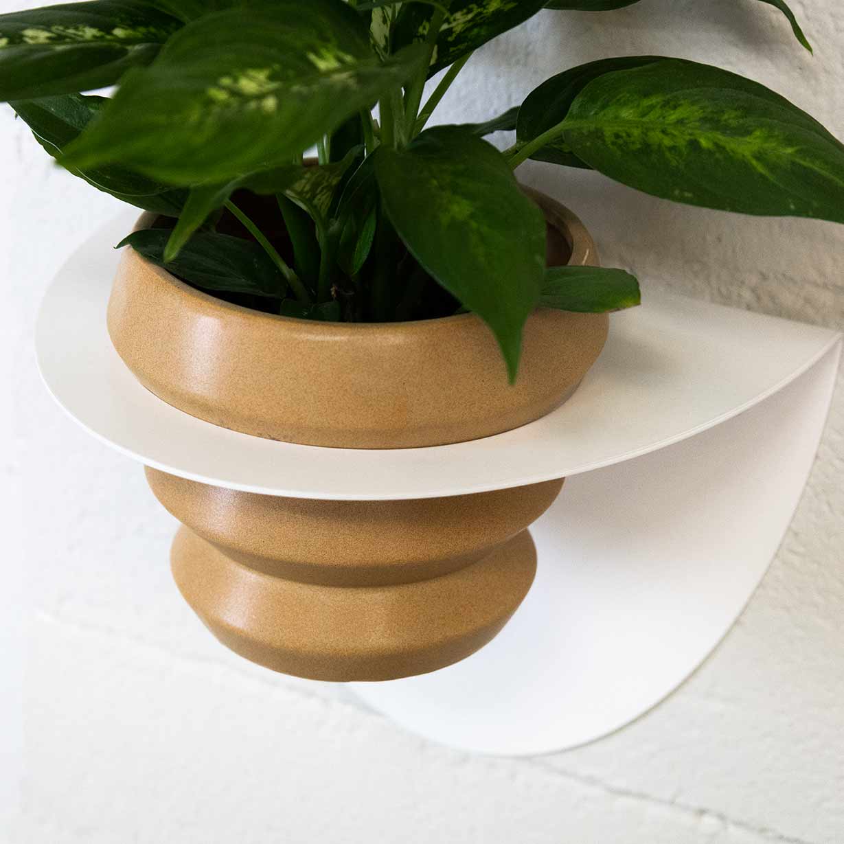 Suport de testos Metàl·lic Per a Paret Andalusia Ø14