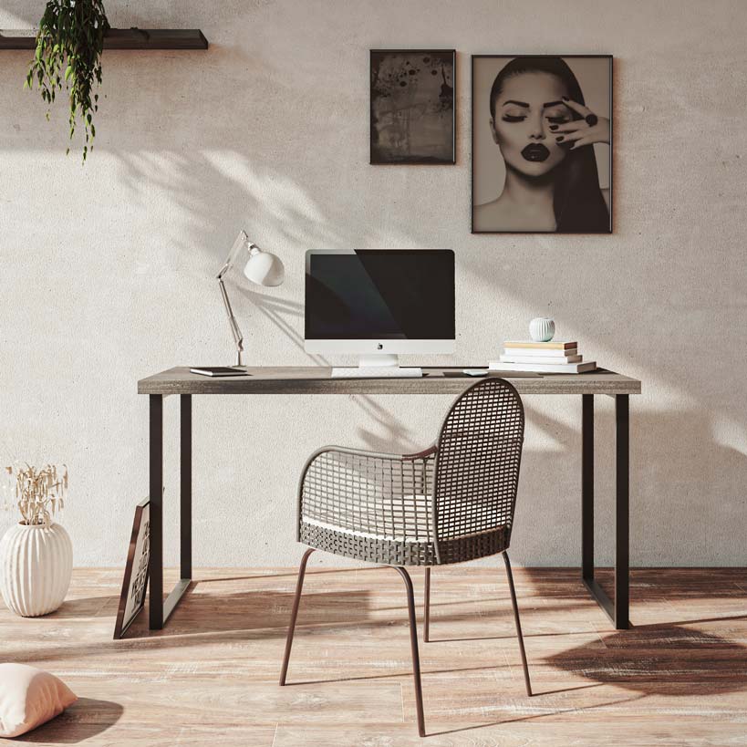 Taula d'Escriptori Erasmus