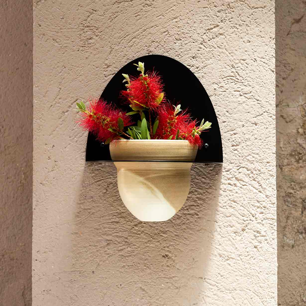 Pack Test Cielo + Suport de Test Andalucía