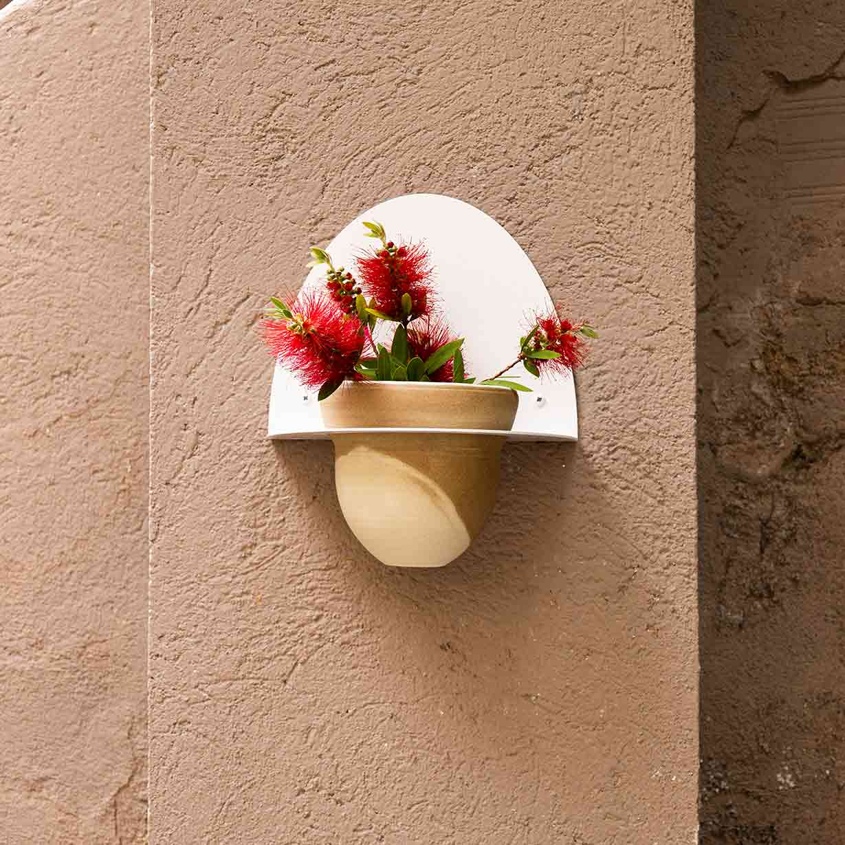 Pack Test Cielo + Suport de Test Andalucía