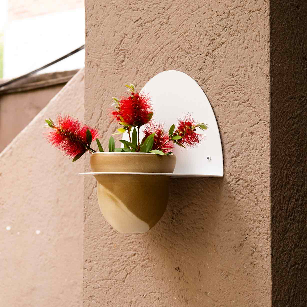 Pack Test Cielo + Suport de Test Andalucía