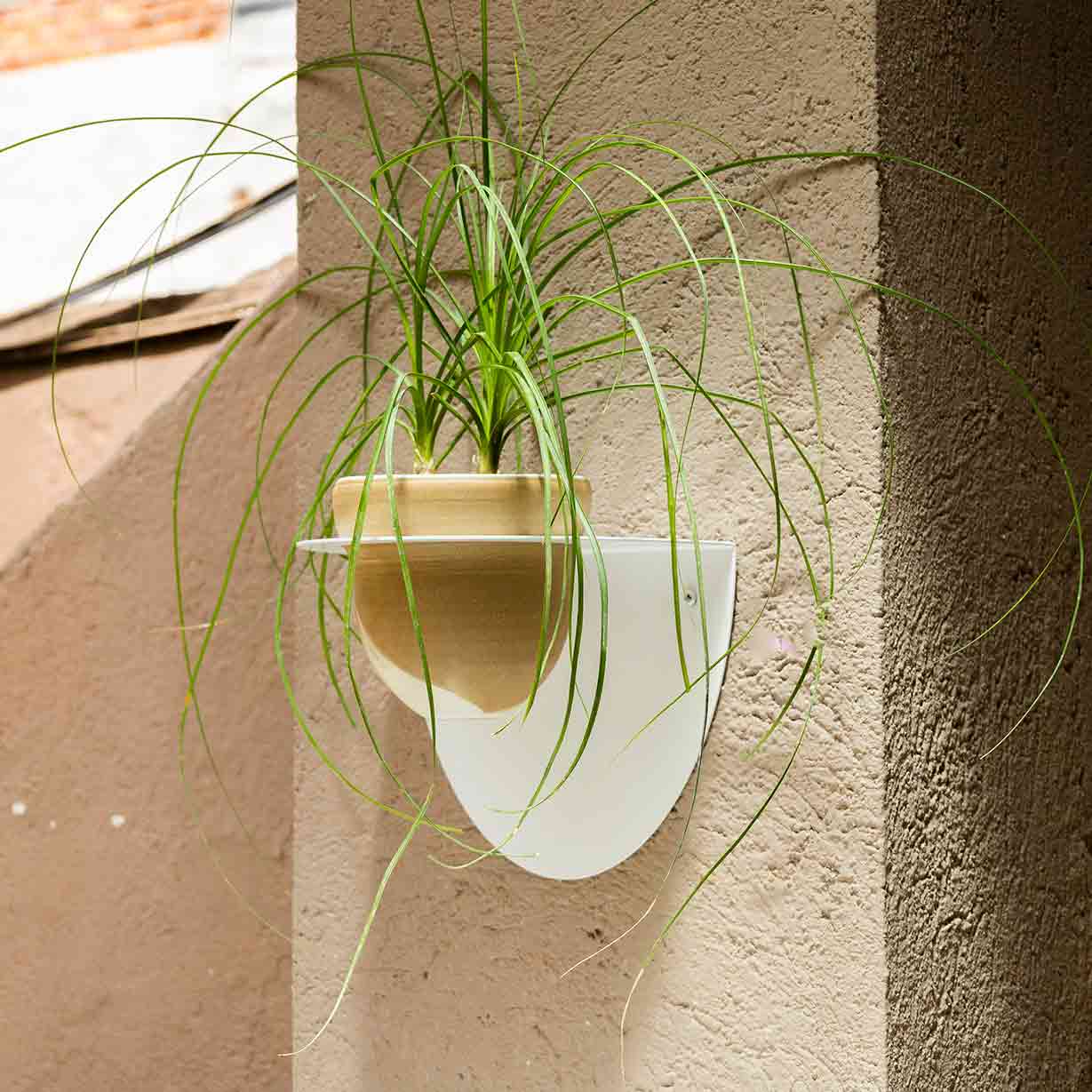 Pack Test Cielo + Suport de Test Andalucía