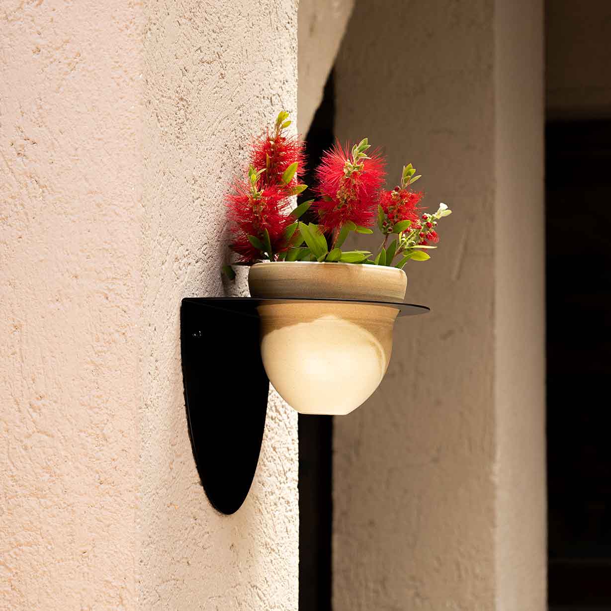 Pack Test Cielo + Suport de Test Andalucía