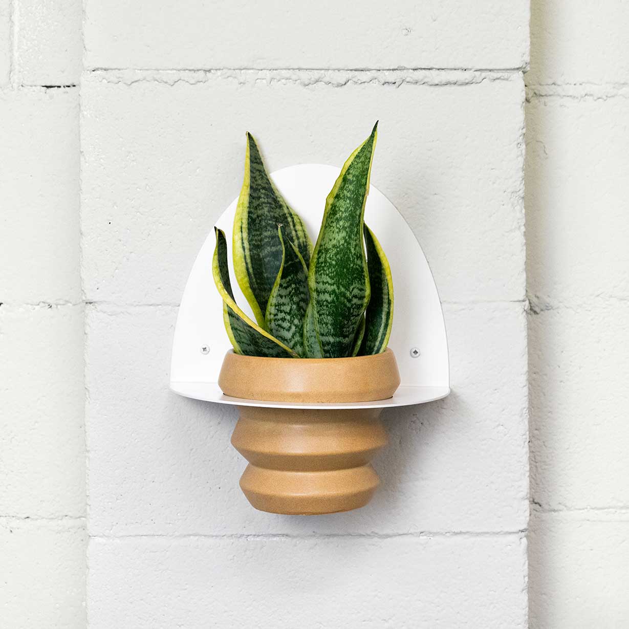 Suport de testos Metàl·lic Per a Paret Andalusia Ø14