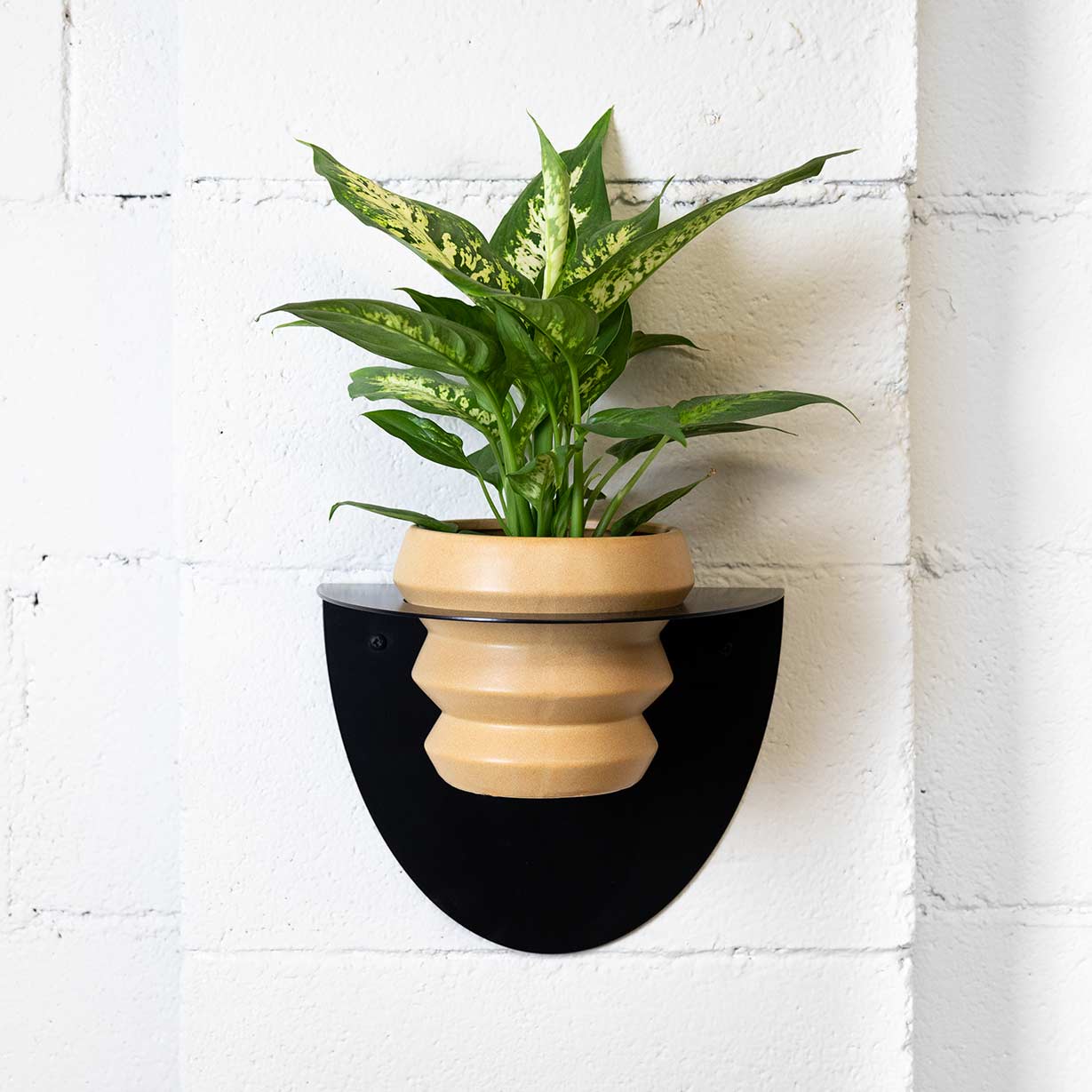 Suport de testos Metàl·lic Per a Paret Andalusia Ø14