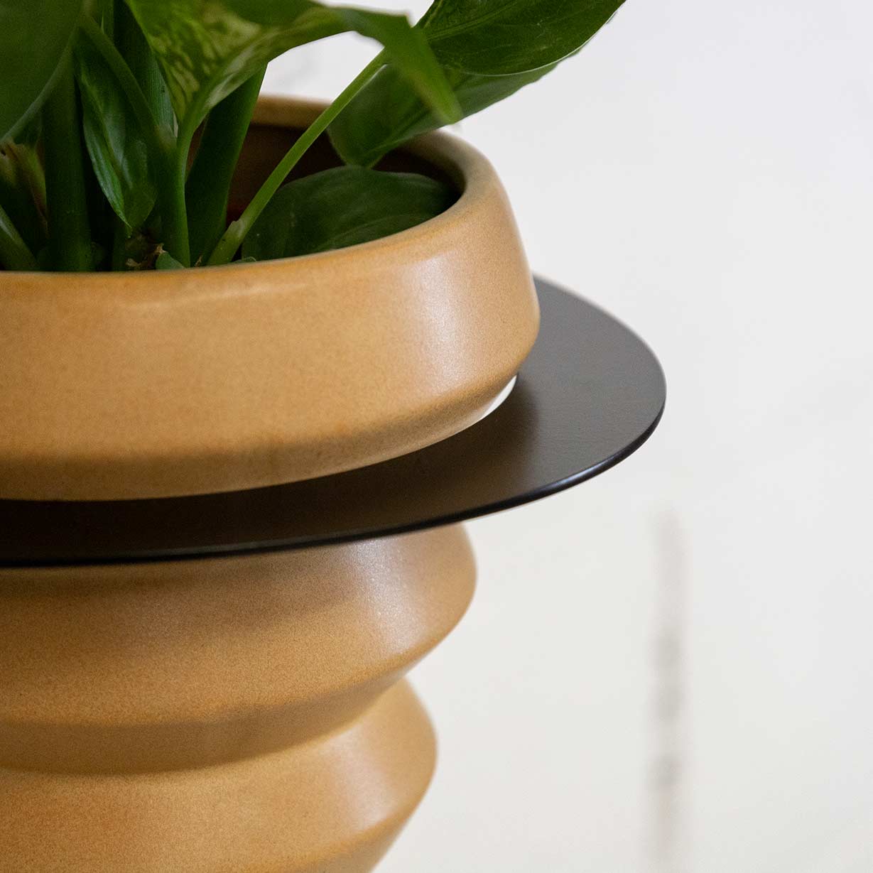 Suport de testos Metàl·lic Per a Paret Andalusia Ø14